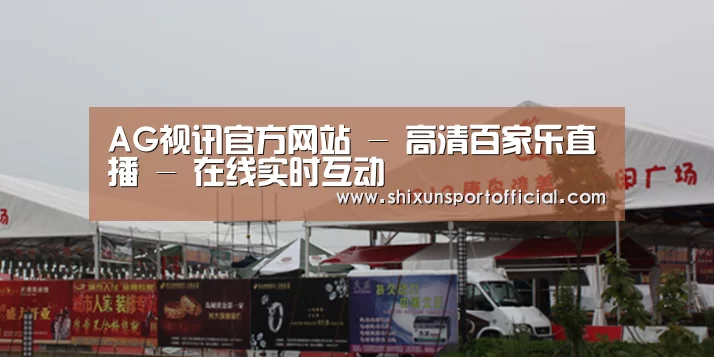 案例标题十