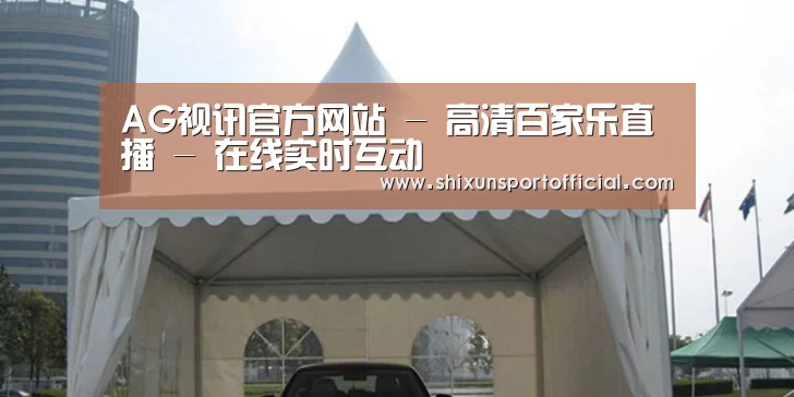 案例标题八