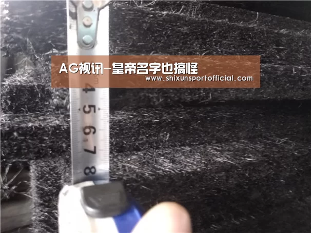 AG视讯-皇帝名字也搞怪(图4) AG百家乐