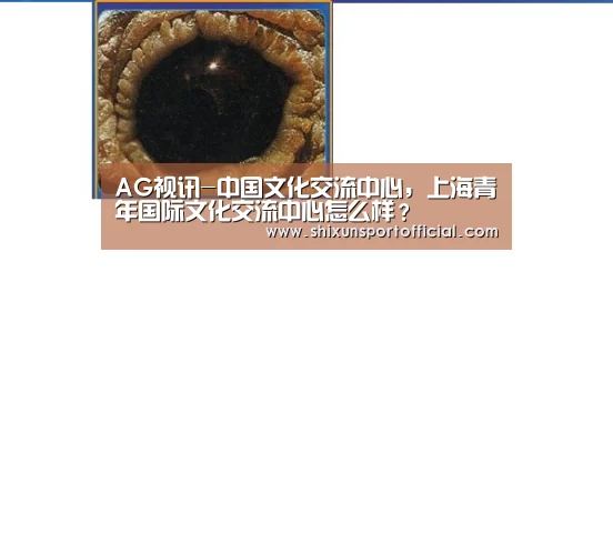 AG视讯-中国文化交流中心,上海青年国际文化交流中心怎么样?(图3) AG官网