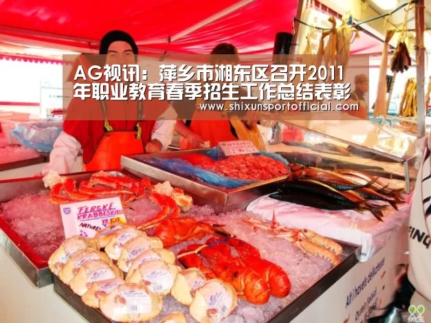 AG百家乐