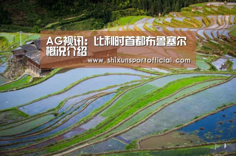AG视讯:比利时首都布鲁塞尔概况介绍(图3) AG视讯