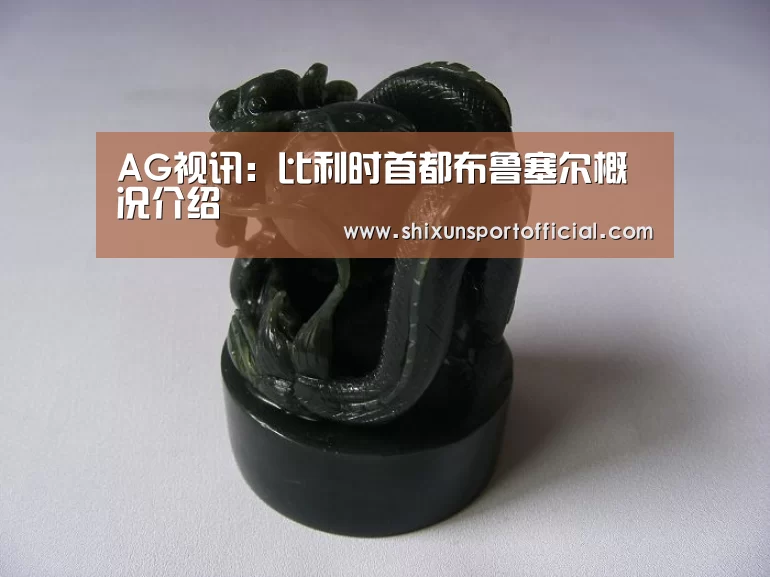 AG视讯:比利时首都布鲁塞尔概况介绍(图4) AG视讯