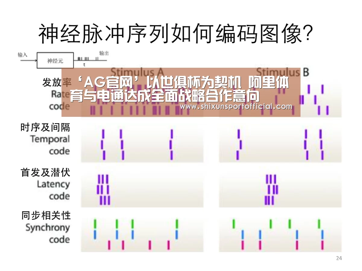 ‘AG官网’以世俱杯为契机 阿里体育与电通达成全面战略合作意向(图2) AG官网