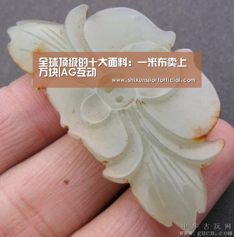 全球顶级的十大面料:一米布卖上万块|AG互动(图4) AG互动